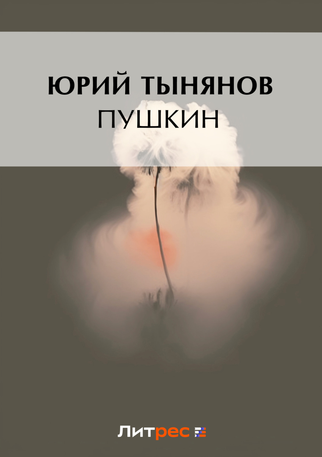 Цитаты из книги «Пушкин» Юрия Тынянова – Литрес