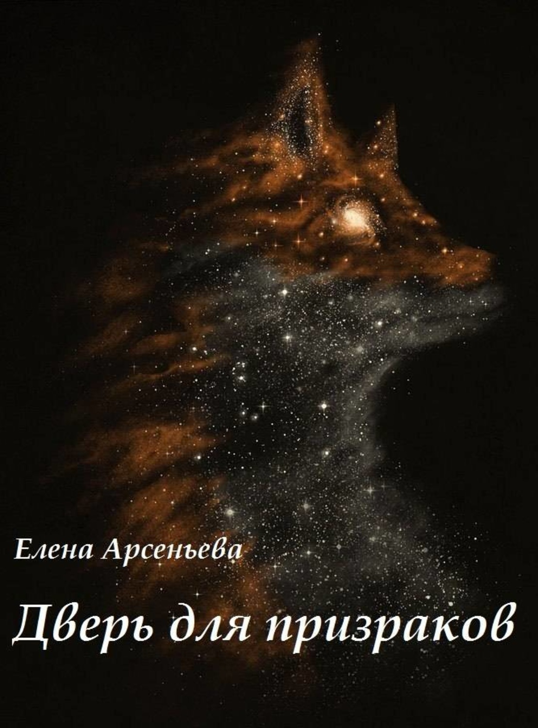 Звезды и лисы. Лиса в космосе. Ночной Лис. Звездная лиса. Лиса в темноте.