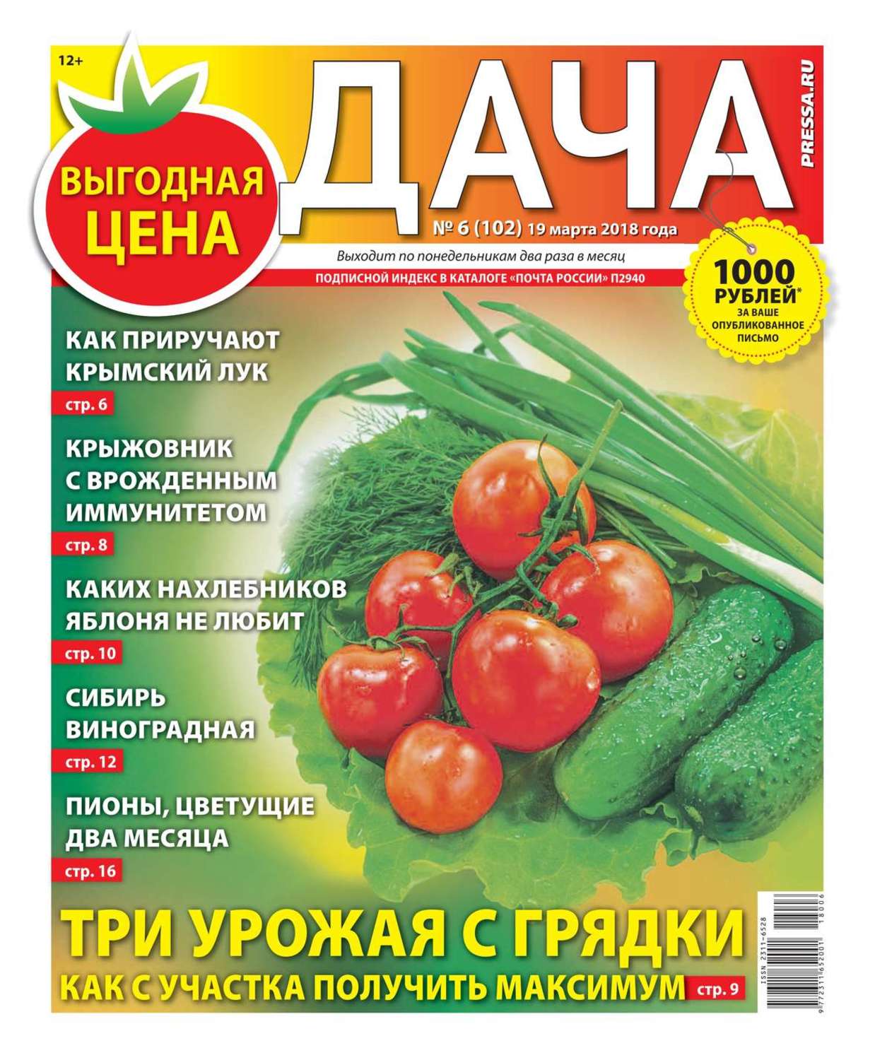 Дача книга. Газета дача. Дача пресса ру. Читает газету на даче. Газета дача последний номер.