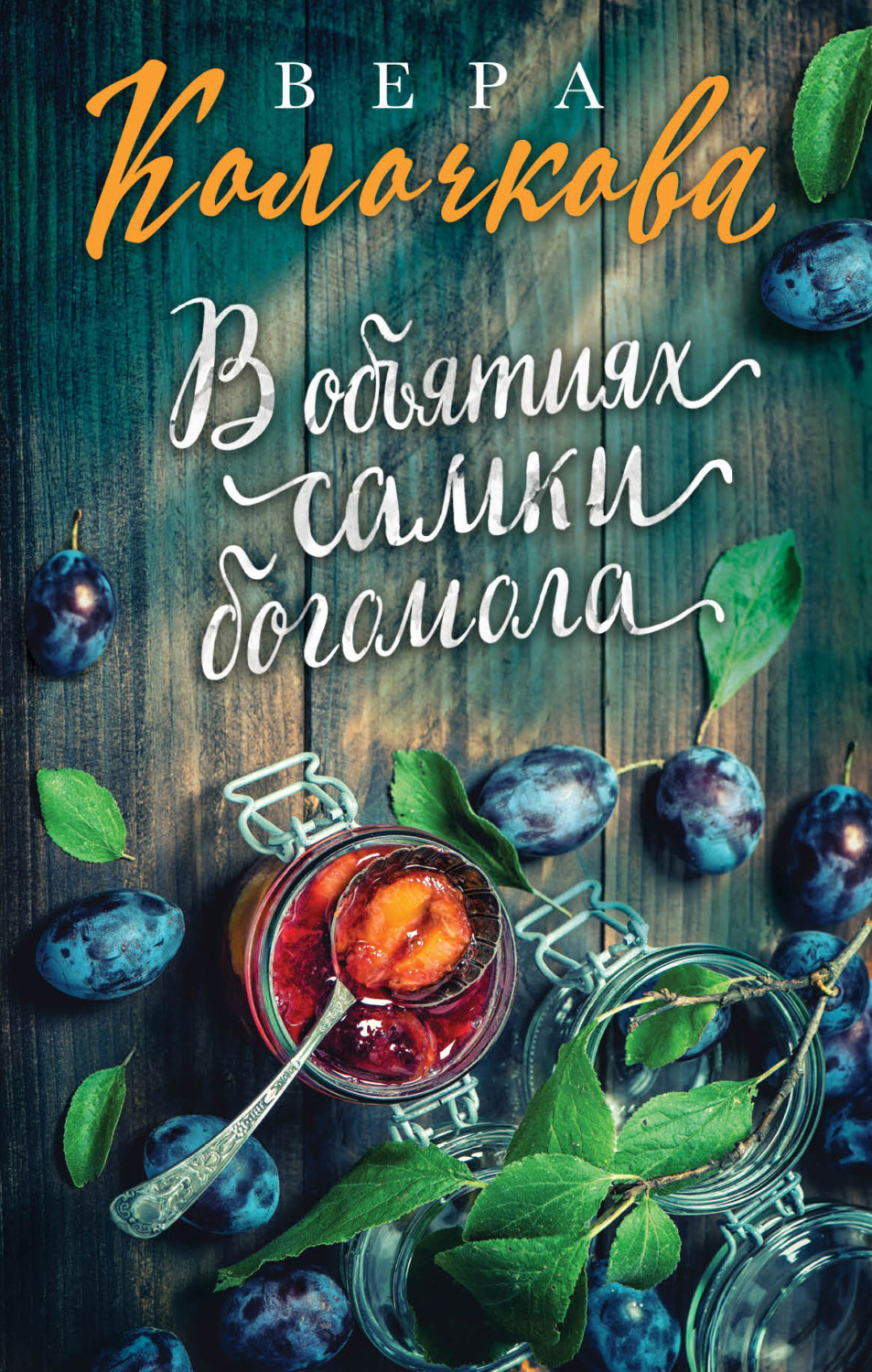 Вера Колочкова книга В объятиях самки богомола – скачать fb2, epub, pdf  бесплатно – Альдебаран, серия Секреты женского счастья