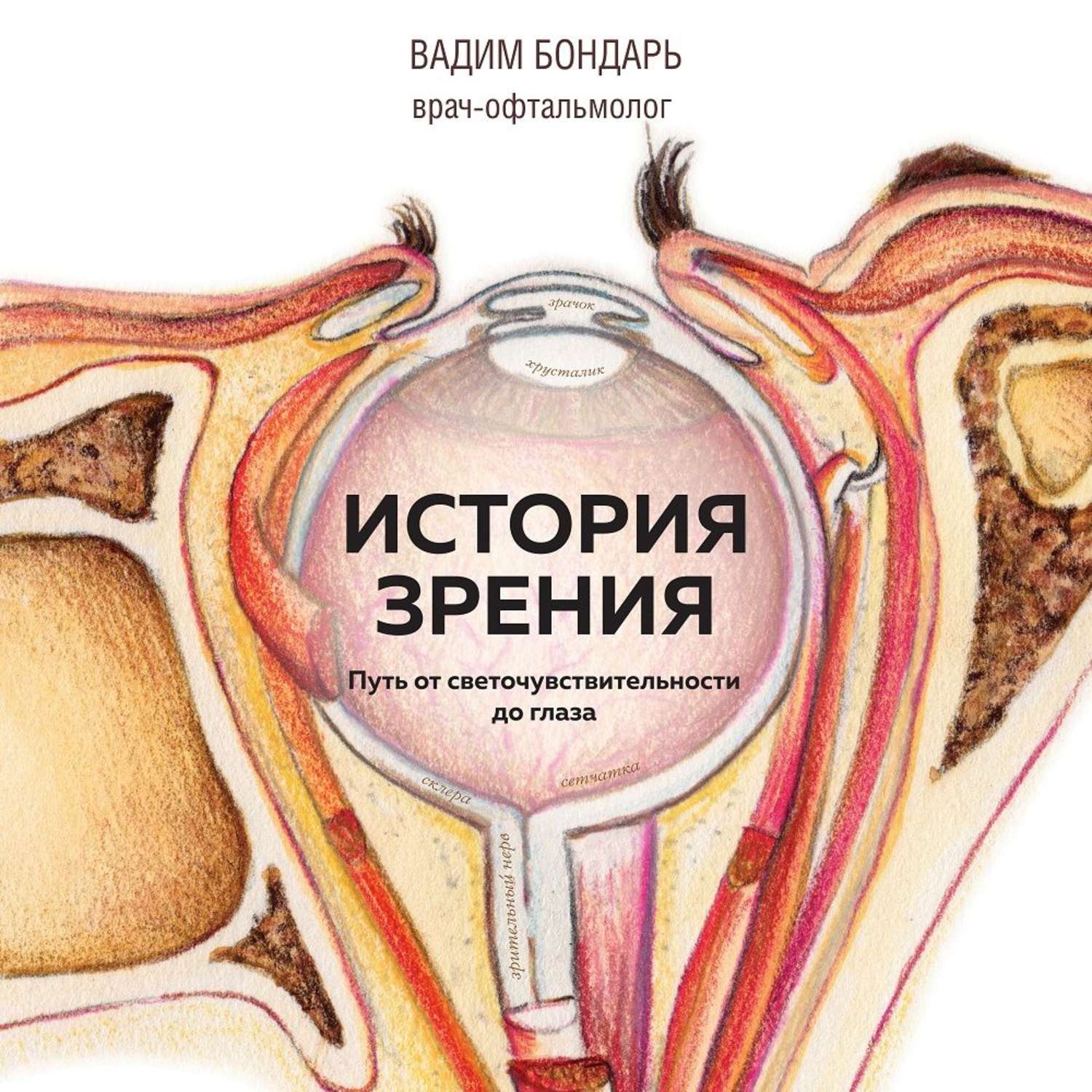 История зрения. Бондарь история зрения. Вадим Бондарь история зрения. История зрения книга. История зрения путь от светочувствительности.