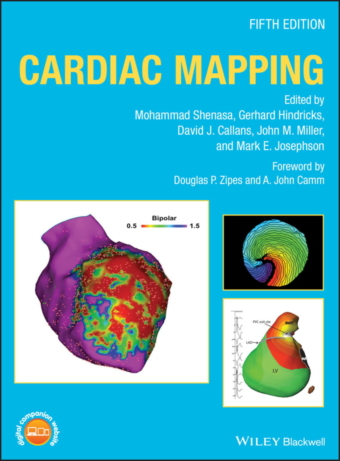 Cardiac Mapping Pdf   62264050 