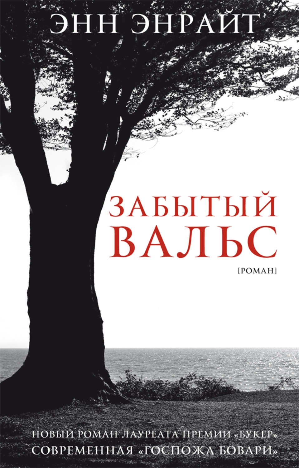 Забытый читать. Энн Энрайт. Забытый вальс. Чарльз Энрайт призрак. Энрайт Энн 