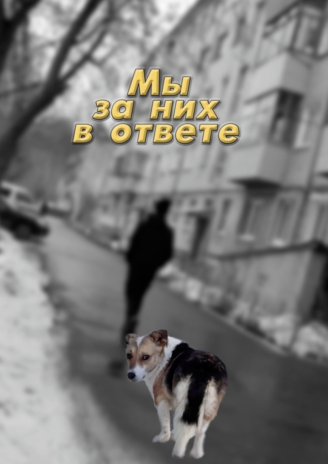 Мы за них в ответе