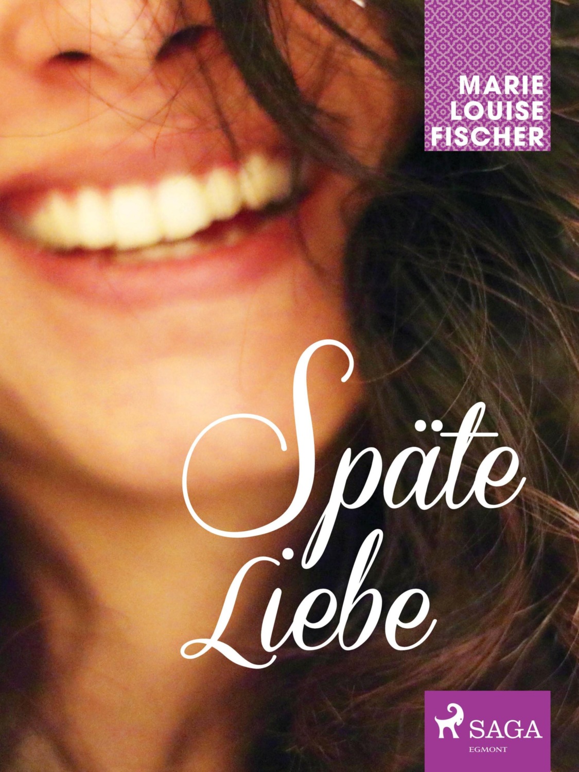 Marie Louise Fischer, Späte Liebe bei Litres als epub, mobi, pdf