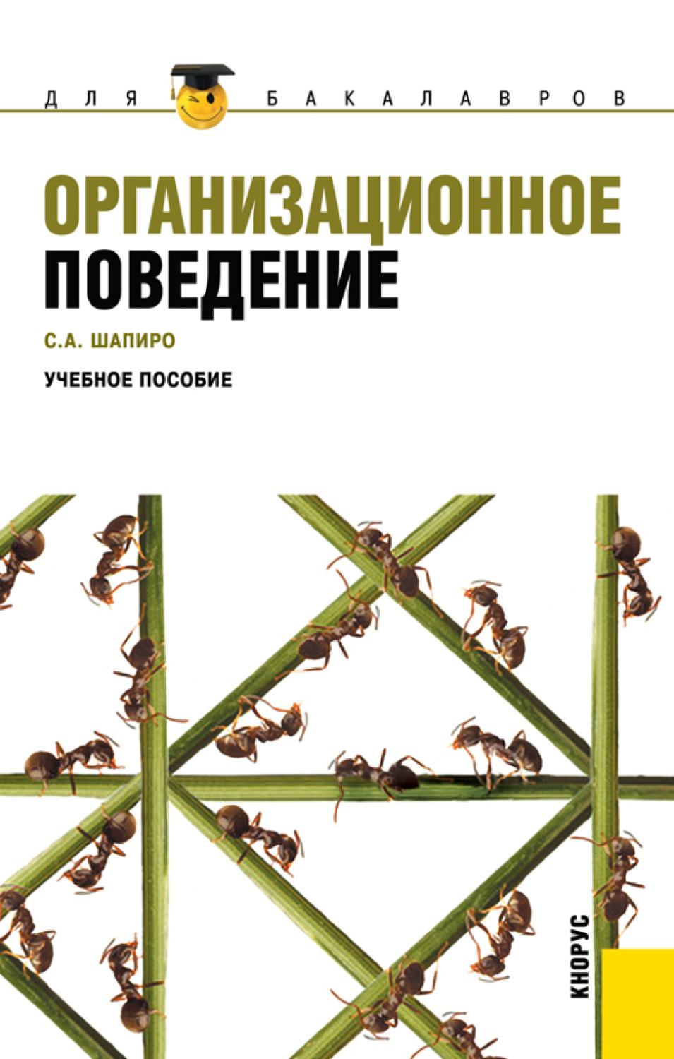 Шапиро управление проектами