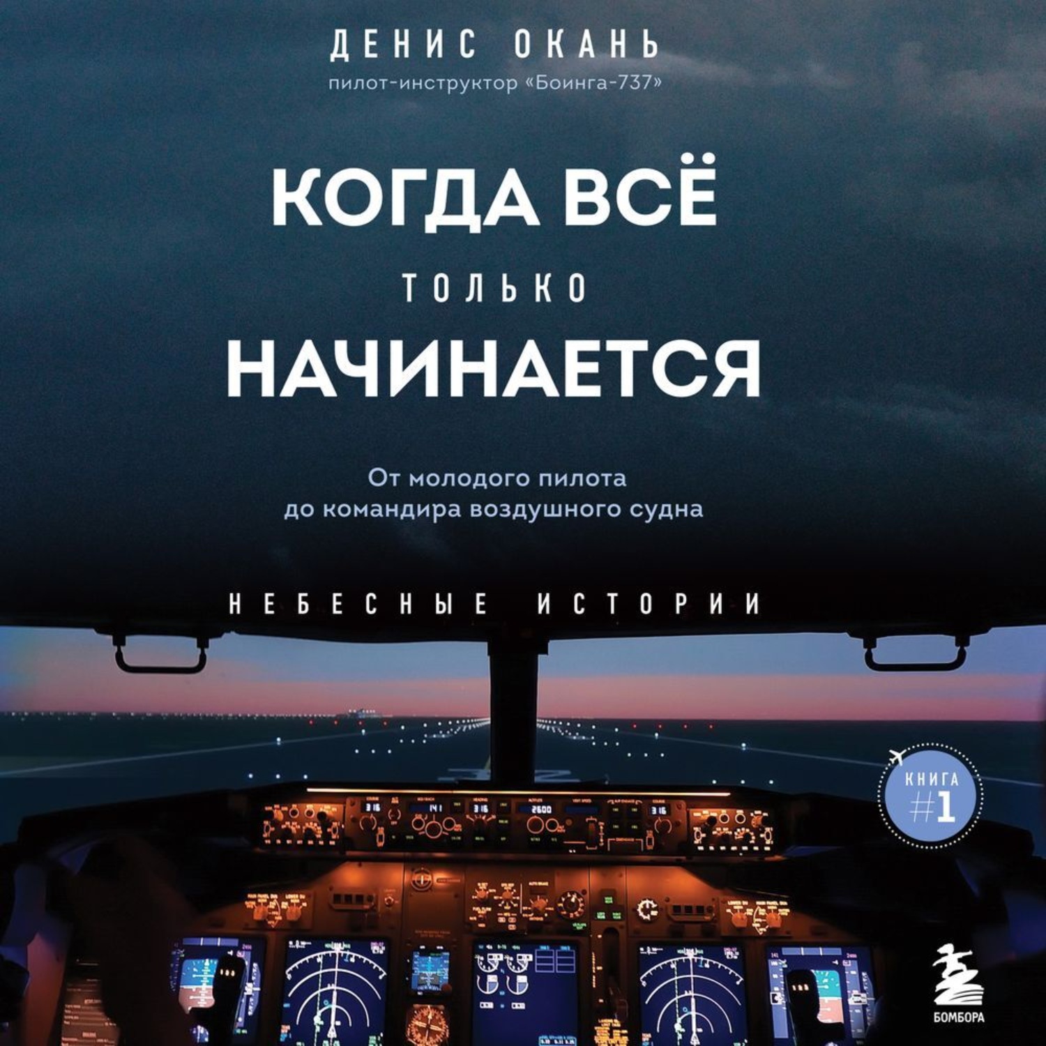 Летчик аудиокнига. Окань когда все только начинается. Летчик Горкунов Денис. Денис Евдокимов пилот. Когда все только начинается Денис Окань.