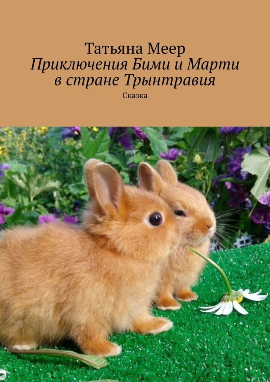 Каких цветов кролики. Беличий карликовый кролик. Голландский карликовый кролик. Голландский львиноголовый кролик. Карликовый кролик Пигмей.