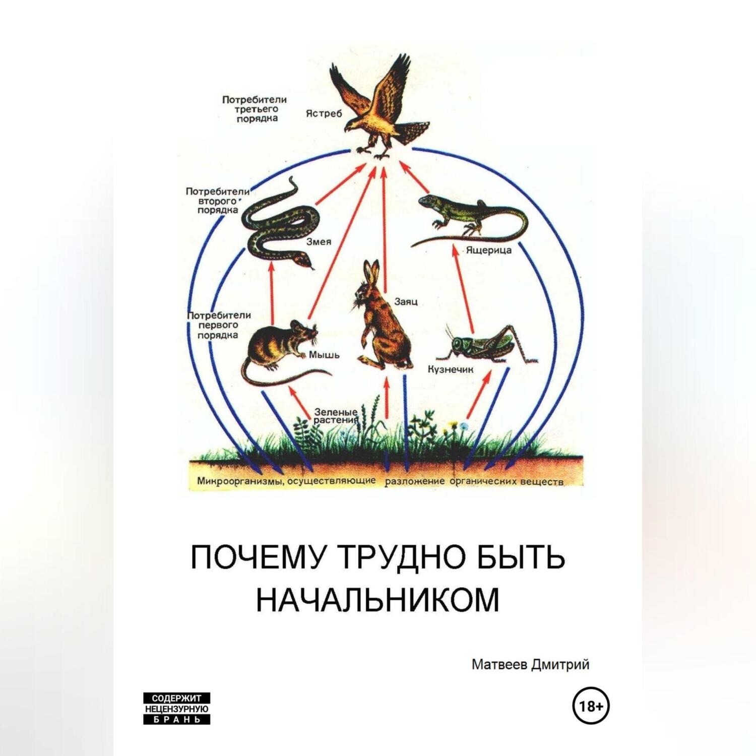 Потребителями могут быть в пищевой цепи. Пищевые Цепочки 5 класс биология. Пищевые цепи в наземных экосистемах. Пищевые Цепочки экосистемы. Схема пищевой цепи.