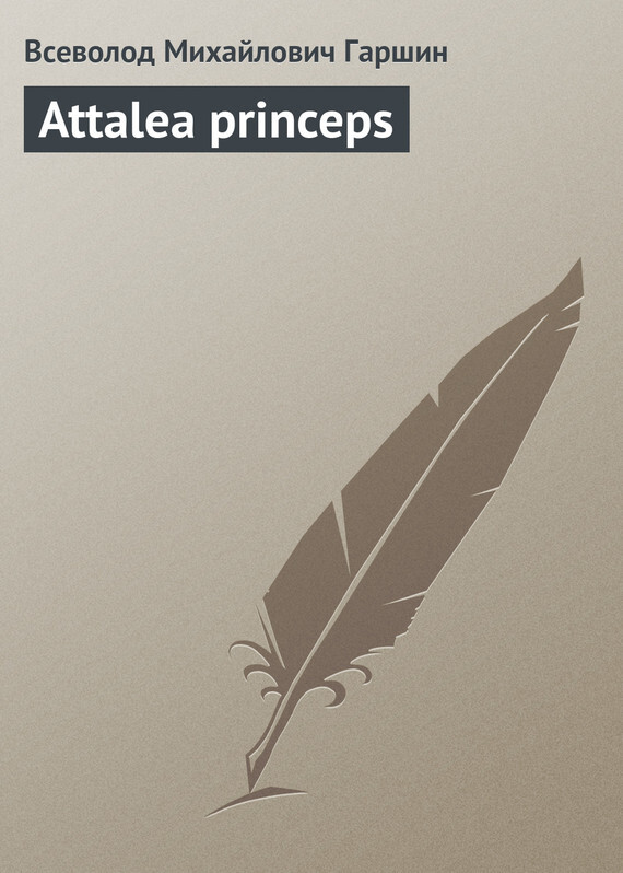 Attalea princeps план