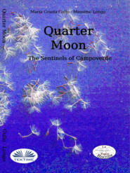 Quarter Moon