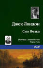 Сын волка о чем. Сын волка о чем фото. картинка Сын волка о чем. смотреть фото Сын волка о чем. смотреть картинку Сын волка о чем.