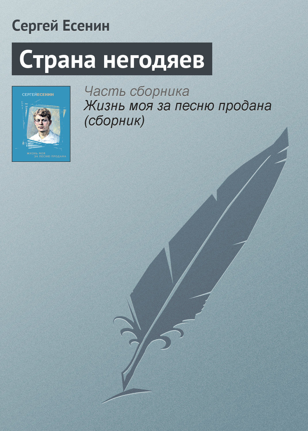 Книга: Страна негодяев