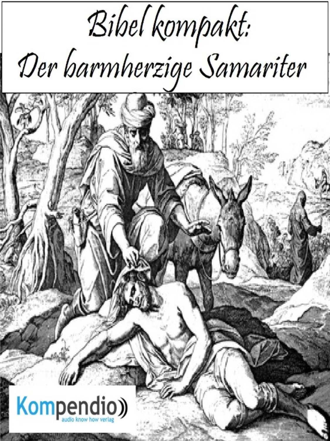Der barmherzige Samariter - Alessandro Dallmann ЛитРес.