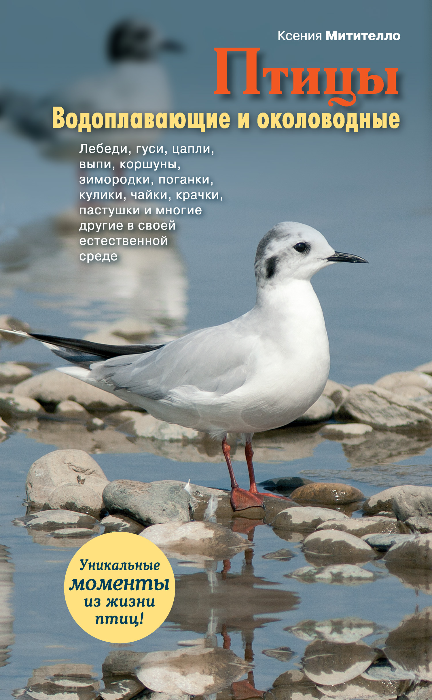 Водоплавающие птицы россии фото и названия с хохолком