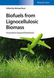 Biofuels from Lignocellulosic Biomass