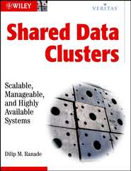 Shared Data Clusters