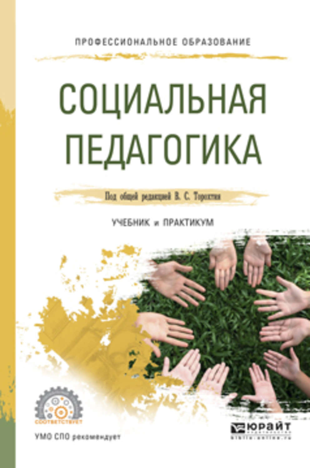 Елена Ивановна Сухова, книга Социальная педагогика. Учебник и практикум ...