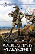 Электронная книга «Оранжевая страна. Фельдкорнет» – Александр Башибузук